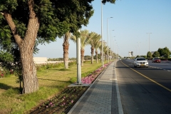 TILAL-AL-NIMR-SITE-425